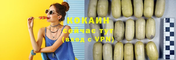 твердый Армянск