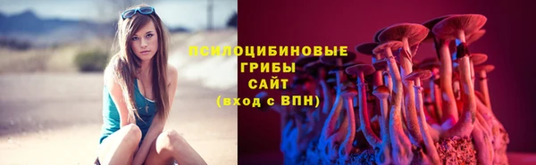 а пвп мука Аркадак