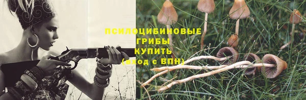 экстази Арсеньев