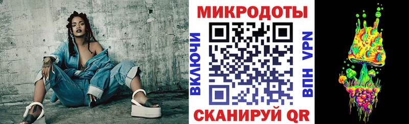 Псилоцибиновые грибы Psilocybine cubensis  Партизанск 